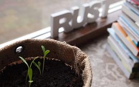 Tip van de tuinambassadeurs: Een plantenbieb aan huis