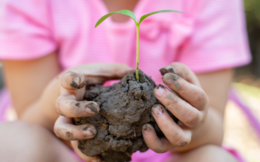 Lezing Maak je tuin klimaatbestendig