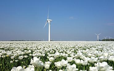 Wat vinden Lissers belangrijk áls er windmolens in Lisse komen?