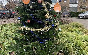 Vraag nu de BuurtKracht kerstboom aan!