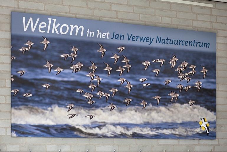 Maandelijkse Inloopochtend Jan Verwey Natuurcentrum