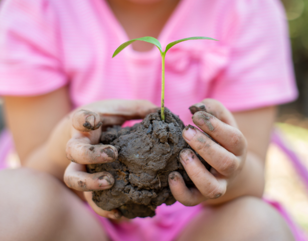 Lezing Maak je tuin klimaatbestendig