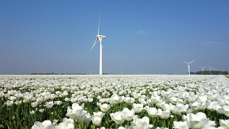 Wat vinden Lissers belangrijk áls er windmolens in Lisse komen?